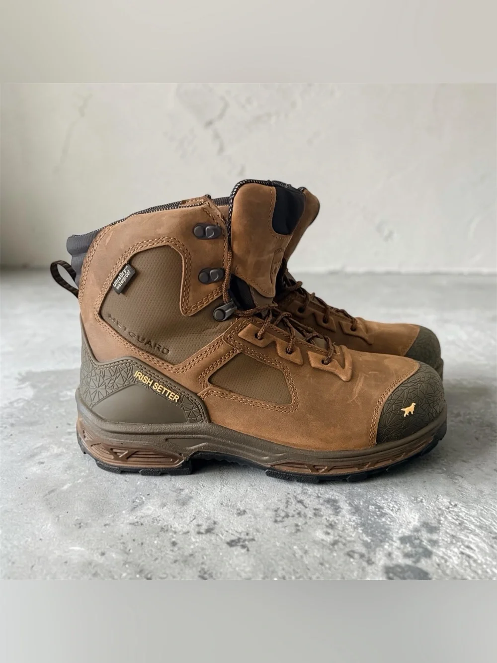 Irish Setter Kasota 6